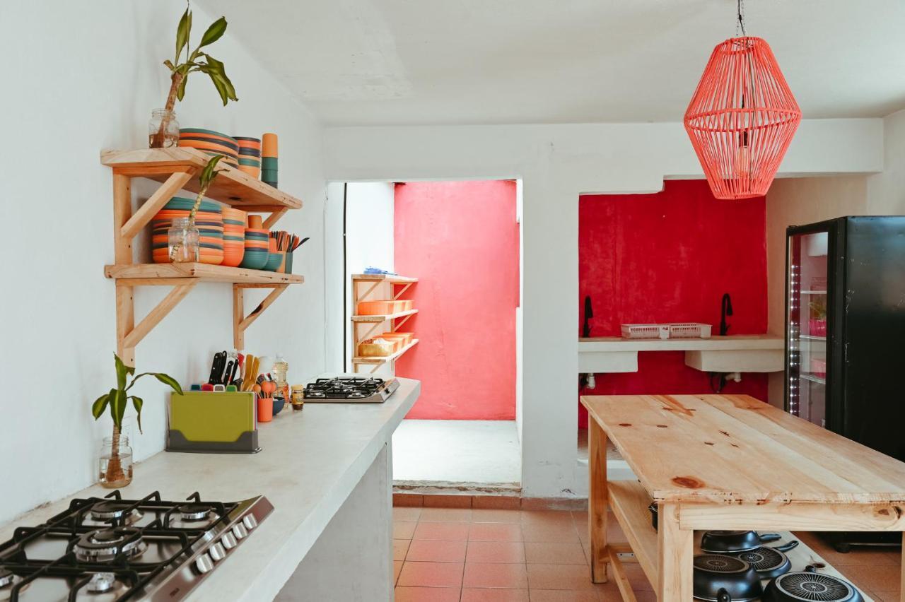 Maka Hostel Oaxaca 外观 照片